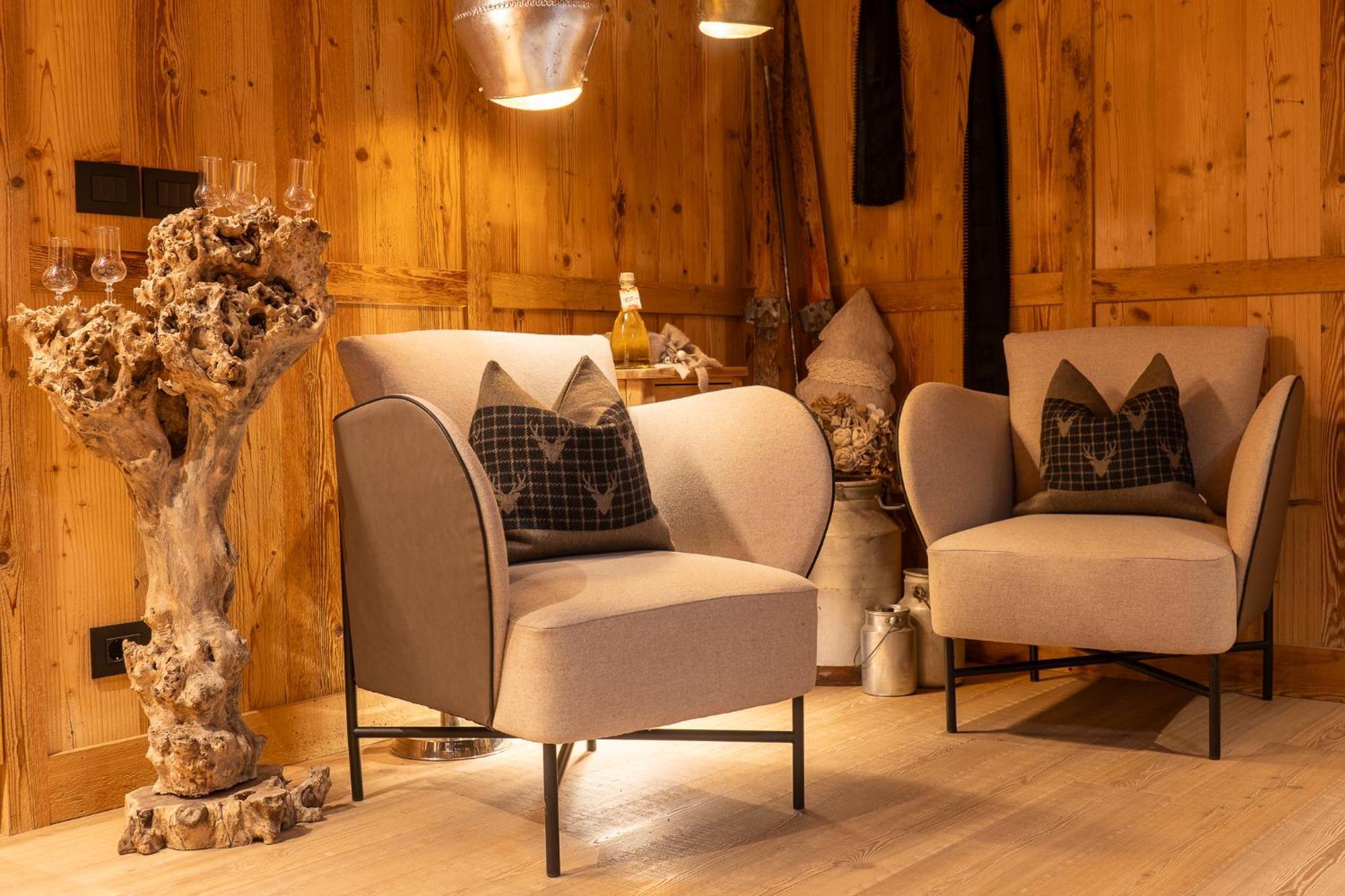 Alpine Residence Villa Adler サン・ヴィジリオ・ディ・マレッベ エクステリア 写真
